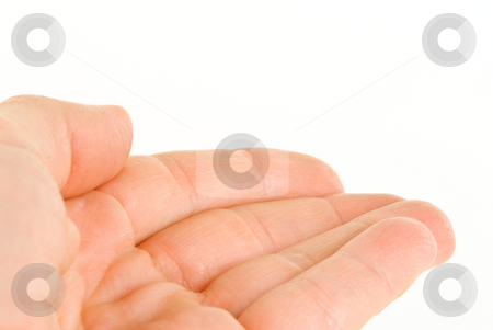 To use this stock image in your creative project, please select the size you need over to the right and click the "Add to Cart" button.
Your downloaded image will come with the Cutcaster watermark removed so don’t worry about the watermark you see on this page. Hand on White stock photo, Hand on white background. by Tammy Abrego