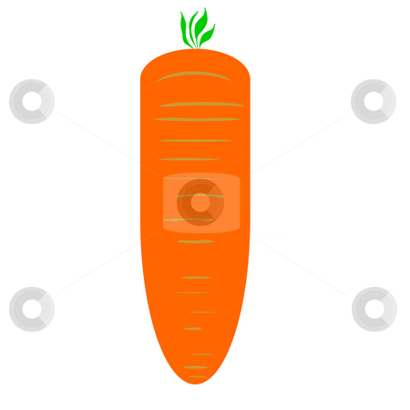 To use this stock image in your creative project, please select the size you need over to the right and click the "Add to Cart" button.
Your downloaded image will come with the Cutcaster watermark removed so don’t worry about the watermark you see on this page. Carrot stock photo, Illustration of raw carrot isolated on white background. by Martin Crowdy