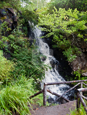 To use this stock image in your creative project, please select the size you need over to the right and click the "Add to Cart" button.
Your downloaded image will come with the Cutcaster watermark removed so don’t worry about the watermark you see on this page. Highlands waterfall stock photo, Waterfall in the Highlands of Scotland by Jaime Pharr