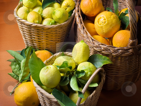 To use this stock image in your creative project, please select the size you need over to the right and click the "Add to Cart" button.
Your downloaded image will come with the Cutcaster watermark removed so don’t worry about the watermark you see on this page. Citrus harvest stock photo, Baskets full of citrus fruits after harvest. by Sinisa Botas