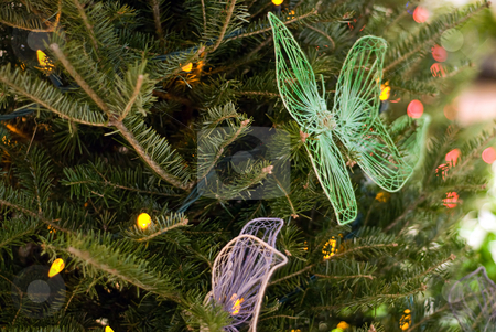 To use this stock image in your creative project, please select the size you need over to the right and click the "Add to Cart" button.
Your downloaded image will come with the Cutcaster watermark removed so don’t worry about the watermark you see on this page. Christmas Decorations stock photo, Some butterflies used as christmas decorations on a pine tree by Richard Nelson