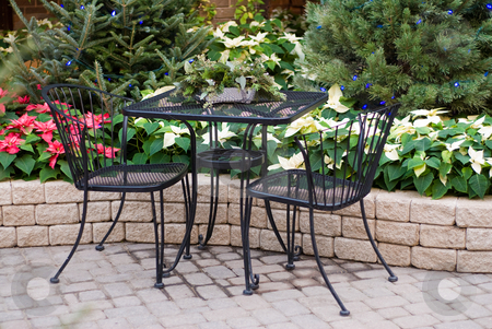 To use this stock image in your creative project, please select the size you need over to the right and click the "Add to Cart" button.
Your downloaded image will come with the Cutcaster watermark removed so don’t worry about the watermark you see on this page. Table For Two stock photo, A table for two shot near a garden with poinsettia plants by Richard Nelson