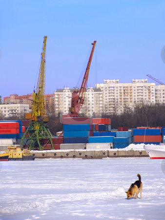 To use this stock image in your creative project, please select the size you need over to the right and click the "Add to Cart" button.
Your downloaded image will come with the Cutcaster watermark removed so don’t worry about the watermark you see on this page. Port on frozen river stock photo, Container harbour on the frozen river with stray dog on foreground by Olga Lipatova