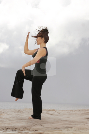 To use this stock image in your creative project, please select the size you need over to the right and click the "Add to Cart" button.
Your downloaded image will come with the Cutcaster watermark removed so don’t worry about the watermark you see on this page. Tai Chi stock photo, Golden rooster stands on one leg by Leah-Anne Thompson
