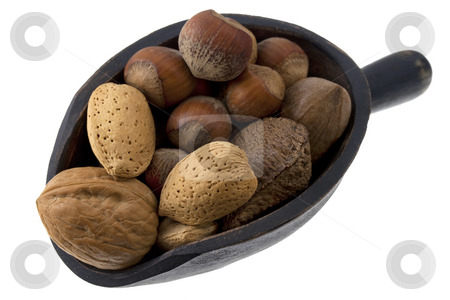 To use this stock image in your creative project, please select the size you need over to the right and click the "Add to Cart" button.
Your downloaded image will come with the Cutcaster watermark removed so don’t worry about the watermark you see on this page. Scoop of mixed nuts stock photo, Hazelnuts, almonds, pecans, walnuts and Brazilian nuts on a rustic wooden scoop isolated on white by Marek Uliasz
