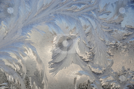 To use this stock image in your creative project, please select the size you need over to the right and click the "Add to Cart" button.
Your downloaded image will come with the Cutcaster watermark removed so don’t worry about the watermark you see on this page. Wings stock photo, Ice on door by Richard Sheehan