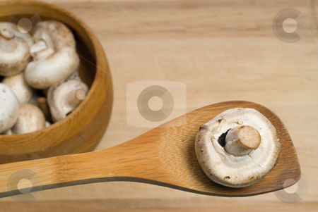 To use this stock image in your creative project, please select the size you need over to the right and click the "Add to Cart" button.
Your downloaded image will come with the Cutcaster watermark removed so don’t worry about the watermark you see on this page. Mushroom stock photo, A single mushroom on a wooden spatula with a bowl of mushrooms OOF in the background by Richard Nelson