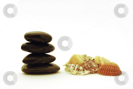 To use this stock image in your creative project, please select the size you need over to the right and click the "Add to Cart" button.
Your downloaded image will come with the Cutcaster watermark removed so don’t worry about the watermark you see on this page. Spa stones and shell stock photo, Stack of balanced stones with sea shell isolated on white background by Tudor Antonel adrian