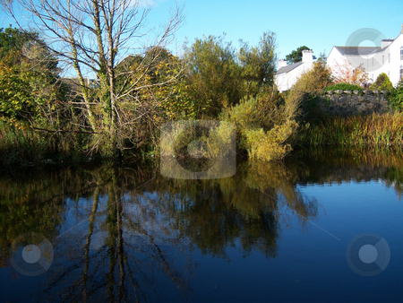 To use this stock image in your creative project, please select the size you need over to the right and click the "Add to Cart" button.
Your downloaded image will come with the Cutcaster watermark removed so don’t worry about the watermark you see on this page. Sunny reflection stock photo, Some shrubbery reflected in water on a sunny summer morning by Michael O'Connell