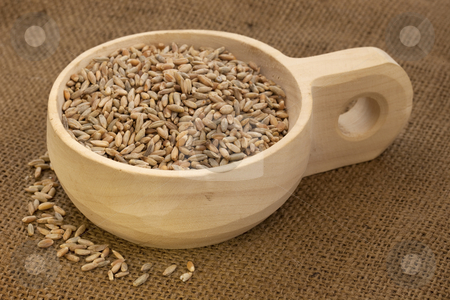 To use this stock image in your creative project, please select the size you need over to the right and click the "Add to Cart" button.
Your downloaded image will come with the Cutcaster watermark removed so don’t worry about the watermark you see on this page. Scoop of rye grain stock photo, Rye grain on a rustic, wooden scoop against brown burlap background by Marek Uliasz
