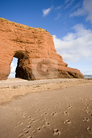 To use this stock image in your creative project, please select the size you need over to the right and click the "Add to Cart" button.
Your downloaded image will come with the Cutcaster watermark removed so don’t worry about the watermark you see on this page. Dawlish, Devon stock photo, Langstone Rock on the beach in Dawlish, Devon by Martin Garnham