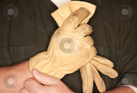 To use this stock image in your creative project, please select the size you need over to the right and click the "Add to Cart" button.
Your downloaded image will come with the Cutcaster watermark removed so don’t worry about the watermark you see on this page. Man Putting on Leather Construction Gloves stock photo, Man Putting on Leather Construction Gloves Close Up. by Andy Dean