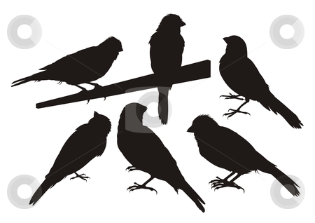 To use this stock image in your creative project, please select the size you need over to the right and click the "Add to Cart" button.
Your downloaded image will come with the Cutcaster watermark removed so don’t worry about the watermark you see on this page. Canary bird silhouettes stock vector clipart, Six canary bird silhouettes. by fractal.gr