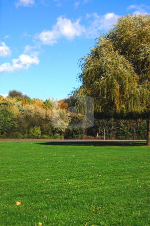 To use this stock image in your creative project, please select the size you need over to the right and click the "Add to Cart" button.
Your downloaded image will come with the Cutcaster watermark removed so don’t worry about the watermark you see on this page. Forest and garden under blue sky at fall stock photo, Green trees of a park at summer or autumn under blue sky by Gunnar Pippel