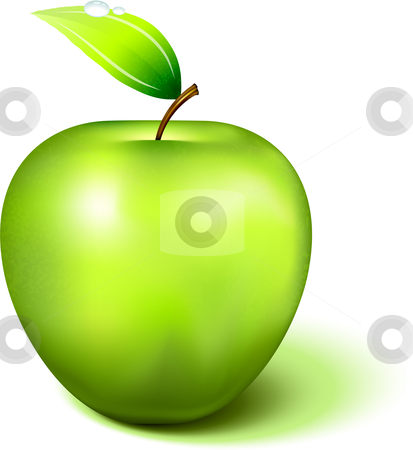 To use this stock image in your creative project, please select the size you need over to the right and click the "Add to Cart" button.
Your downloaded image will come with the Cutcaster watermark removed so don’t worry about the watermark you see on this page. Green Apple stock vector clipart, Green Apple Original Vector Illustration Apple Illustration by L Belomlinsky