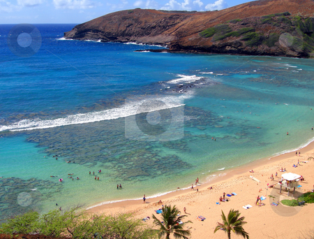 To use this stock image in your creative project, please select the size you need over to the right and click the "Add to Cart" button.
Your downloaded image will come with the Cutcaster watermark removed so don’t worry about the watermark you see on this page. Snorkeling and Sunbathing at Hanauma Bay, Oahu, Hawaii stock photo, Snorkeling and Sunbathing at Hanauma Bay, Oahu, Hawaii by Cloudia Newland