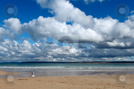 To use this stock image in your creative project, please select the size you need over to the right and click the "Add to Cart" button.
Your downloaded image will come with the Cutcaster watermark removed so don’t worry about the watermark you see on this page. Clouds over the sea in St. Ives, Cornwall UK. stock photo, Clouds over the sea in St. Ives, Cornwall UK. by Stephen Rees