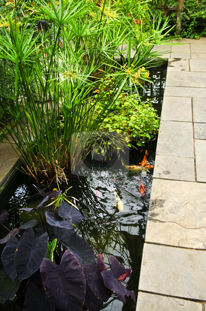 To use this stock image in your creative project, please select the size you need over to the right and click the "Add to Cart" button.
Your downloaded image will come with the Cutcaster watermark removed so don’t worry about the watermark you see on this page. Lush green garden stock photo, Lush green garden with stone landscaping and koi pond by Elena Elisseeva