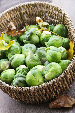 To use this stock image in your creative project, please select the size you need over to the right and click the "Add to Cart" button.
Your downloaded image will come with the Cutcaster watermark removed so don’t worry about the watermark you see on this page. Basket of brussels sprouts stock photo, Basket of green brussels sprouts with autumn leaves by Elena Elisseeva