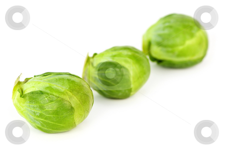 To use this stock image in your creative project, please select the size you need over to the right and click the "Add to Cart" button.
Your downloaded image will come with the Cutcaster watermark removed so don’t worry about the watermark you see on this page. Isolated brussels sprouts stock photo, Three green brussels sprouts isolated on white background by Elena Elisseeva