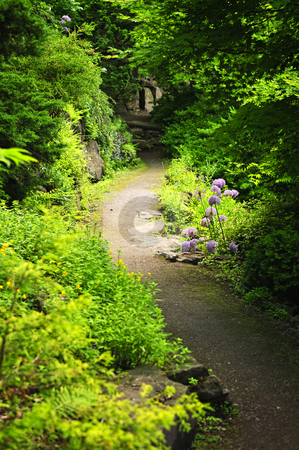 To use this stock image in your creative project, please select the size you need over to the right and click the "Add to Cart" button.
Your downloaded image will come with the Cutcaster watermark removed so don’t worry about the watermark you see on this page. Forest path stock photo, Hiking trail in a sunlit forest in Ontario Canada by Elena Elisseeva