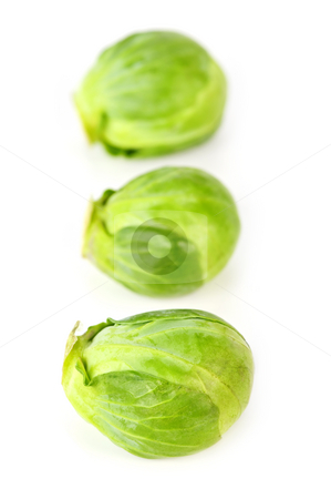To use this stock image in your creative project, please select the size you need over to the right and click the "Add to Cart" button.
Your downloaded image will come with the Cutcaster watermark removed so don’t worry about the watermark you see on this page. Isolated brussels sprouts stock photo, Three green brussels sprouts isolated on white background by Elena Elisseeva