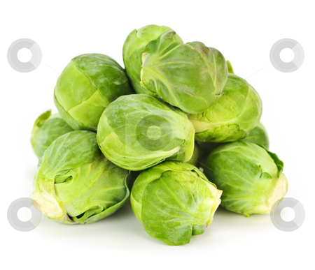 To use this stock image in your creative project, please select the size you need over to the right and click the "Add to Cart" button.
Your downloaded image will come with the Cutcaster watermark removed so don’t worry about the watermark you see on this page. Isolated brussels sprouts stock photo, Bunch of green brussels sprouts isolated on white background by Elena Elisseeva
