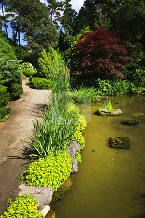 To use this stock image in your creative project, please select the size you need over to the right and click the "Add to Cart" button.
Your downloaded image will come with the Cutcaster watermark removed so don’t worry about the watermark you see on this page. Landscaped garden path and pond stock photo, Landscaped garden path with plants and pond by Elena Elisseeva
