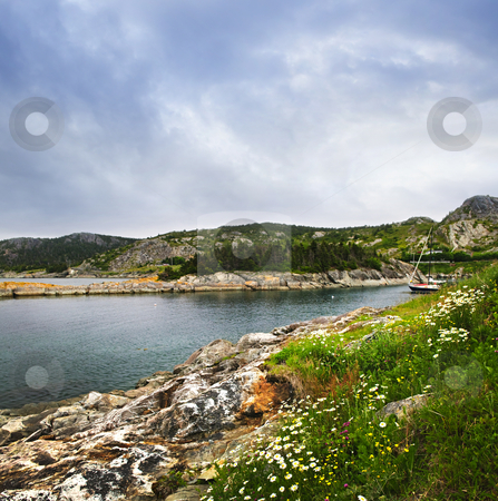 To use this stock image in your creative project, please select the size you need over to the right and click the "Add to Cart" button.
Your downloaded image will come with the Cutcaster watermark removed so don’t worry about the watermark you see on this page. Atlantic coast in Newfoundland stock photo, Scenic coastal view of rocky Atlantic shore in Newfoundland, Canada by Elena Elisseeva