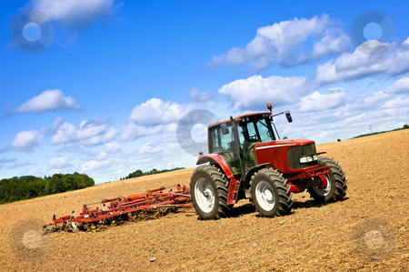 To use this stock image in your creative project, please select the size you need over to the right and click the "Add to Cart" button.
Your downloaded image will come with the Cutcaster watermark removed so don’t worry about the watermark you see on this page. Tractor in plowed field stock photo, Small scale farming with tractor and plow in field by Elena Elisseeva