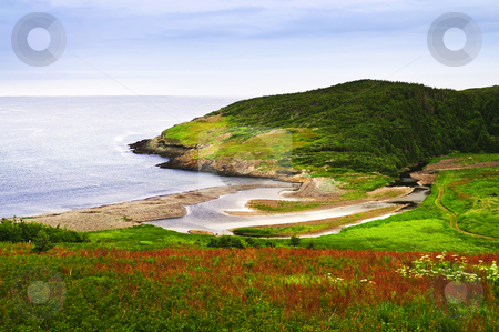 To use this stock image in your creative project, please select the size you need over to the right and click the "Add to Cart" button.
Your downloaded image will come with the Cutcaster watermark removed so don’t worry about the watermark you see on this page. Atlantic coast in Newfoundland stock photo, Scenic coastal view of rocky Atlantic shore in Newfoundland, Canada by Elena Elisseeva