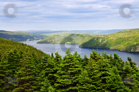 To use this stock image in your creative project, please select the size you need over to the right and click the "Add to Cart" button.
Your downloaded image will come with the Cutcaster watermark removed so don’t worry about the watermark you see on this page. Placentia Bay in Newfoundland stock photo, Scenic view of Placentia bay in Newfoundland, Canada by Elena Elisseeva