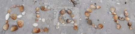 To use this stock image in your creative project, please select the size you need over to the right and click the "Add to Cart" button.
Your downloaded image will come with the Cutcaster watermark removed so don’t worry about the watermark you see on this page. Beach Shells stock photo, Shells set out to spell beach along the Gulf of Mexico by Bill Swiger