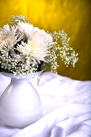To use this stock image in your creative project, please select the size you need over to the right and click the "Add to Cart" button.
Your downloaded image will come with the Cutcaster watermark removed so don’t worry about the watermark you see on this page. Chrysanths bunch stock photo, Bunch of chrysanthemums on the table by Val Thoermer