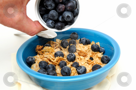 To use this stock image in your creative project, please select the size you need over to the right and click the "Add to Cart" button.
Your downloaded image will come with the Cutcaster watermark removed so don’t worry about the watermark you see on this page. Pouring Blueberries On Cereal stock photo, Bowl of cold breakfast cereal with fresh blueberries on a white background by Lynn Bendickson