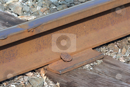 To use this stock image in your creative project, please select the size you need over to the right and click the "Add to Cart" button.
Your downloaded image will come with the Cutcaster watermark removed so don’t worry about the watermark you see on this page. Rusty Train track macro stock photo, A rusty Train track macro by Jim Mills