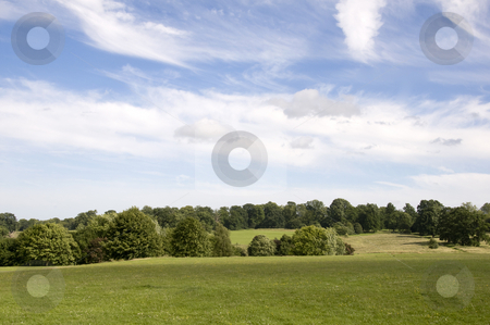 To use this stock image in your creative project, please select the size you need over to the right and click the "Add to Cart" button.
Your downloaded image will come with the Cutcaster watermark removed so don’t worry about the watermark you see on this page. Parkland stock photo, A view of parkland in summerwith a cloudy sky by Mark Bond