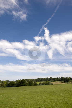 To use this stock image in your creative project, please select the size you need over to the right and click the "Add to Cart" button.
Your downloaded image will come with the Cutcaster watermark removed so don’t worry about the watermark you see on this page. Parkland stock photo, A view of parkland in summer with a cloudy sky by Mark Bond