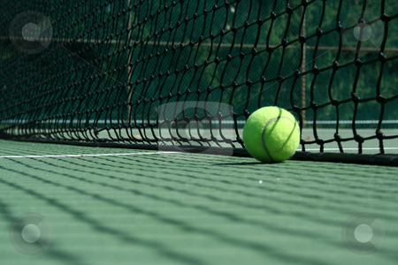 To use this stock image in your creative project, please select the size you need over to the right and click the "Add to Cart" button.
Your downloaded image will come with the Cutcaster watermark removed so don’t worry about the watermark you see on this page. Tennis ball near net stock photo, A Tennis ball near net with showdows by Jim Mills