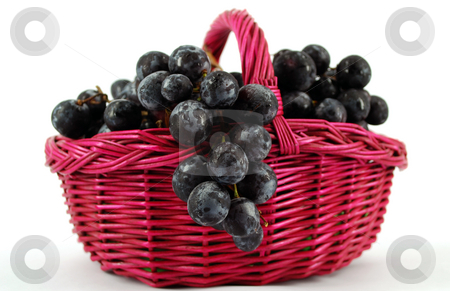 To use this stock image in your creative project, please select the size you need over to the right and click the "Add to Cart" button.
Your downloaded image will come with the Cutcaster watermark removed so don’t worry about the watermark you see on this page. Basket with grapes stock photo, Basket with grapes by Goce Risteski