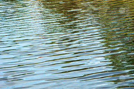 To use this stock image in your creative project, please select the size you need over to the right and click the "Add to Cart" button.
Your downloaded image will come with the Cutcaster watermark removed so don’t worry about the watermark you see on this page. Abstract ripples on a pond stock photo, Close up of water ripples on pond creating an abstract image. by Stephen Orsillo