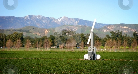 To use this stock image in your creative project, please select the size you need over to the right and click the "Add to Cart" button.
Your downloaded image will come with the Cutcaster watermark removed so don’t worry about the watermark you see on this page. Wind machine stock photo, Wind machine in a strawberry field for protection from frost by Henrik Lehnerer