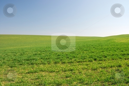 To use this stock image in your creative project, please select the size you need over to the right and click the "Add to Cart" button.
Your downloaded image will come with the Cutcaster watermark removed so don’t worry about the watermark you see on this page. Field stock photo, Bright empty green field with small hills by P?