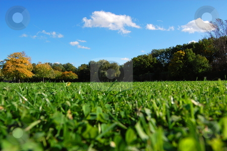 To use this stock image in your creative project, please select the size you need over to the right and click the "Add to Cart" button.
Your downloaded image will come with the Cutcaster watermark removed so don’t worry about the watermark you see on this page. Forest and garden under blue sky at fall stock photo, Green trees of a park at summer or autumn under blue sky by Gunnar Pippel