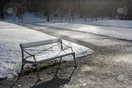 To use this stock image in your creative project, please select the size you need over to the right and click the "Add to Cart" button.
Your downloaded image will come with the Cutcaster watermark removed so don’t worry about the watermark you see on this page. Bench stock photo, Snowy bench in a park in winter by P?