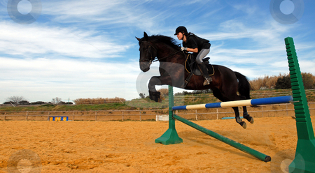 To use this stock image in your creative project, please select the size you need over to the right and click the "Add to Cart" button.
Your downloaded image will come with the Cutcaster watermark removed so don’t worry about the watermark you see on this page. Jumping stock photo, A young teenager and her black stallion in a training of jumping by Bonzami Emmanuelle
