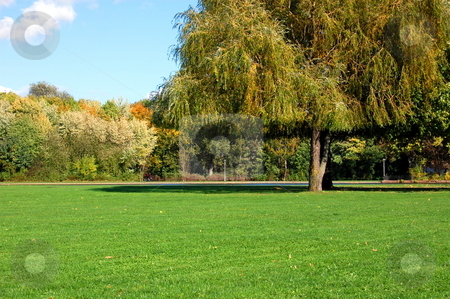 To use this stock image in your creative project, please select the size you need over to the right and click the "Add to Cart" button.
Your downloaded image will come with the Cutcaster watermark removed so don’t worry about the watermark you see on this page. Forest and garden under blue sky at fall stock photo, Green trees of a park at summer or autumn under blue sky by Gunnar Pippel