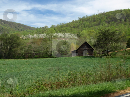 To use this stock image in your creative project, please select the size you need over to the right and click the "Add to Cart" button.
Your downloaded image will come with the Cutcaster watermark removed so don’t worry about the watermark you see on this page. Spring i the mountains stock photo, Small barn in a rural field by Tim Markley