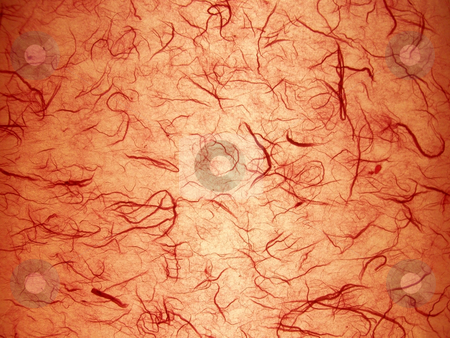 To use this stock image in your creative project, please select the size you need over to the right and click the "Add to Cart" button.
Your downloaded image will come with the Cutcaster watermark removed so don’t worry about the watermark you see on this page. Bacteria stock photo, Slide showing bacteria by CHERYL LAFOND