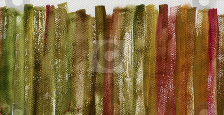 To use this stock image in your creative project, please select the size you need over to the right and click the "Add to Cart" button.
Your downloaded image will come with the Cutcaster watermark removed so don’t worry about the watermark you see on this page. Grunge multicolor painted canvas texture stock photo, Red, green and brown grunge watercolor abstract on white artist canvas with a coarse texture, vertical brush strokes, self made by photographer by Marek Uliasz